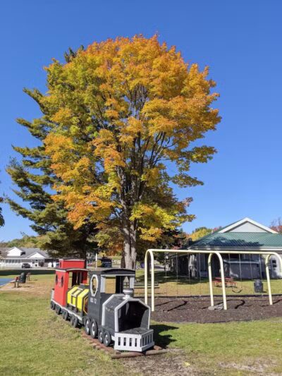 Alanson Village Park - Alanson,