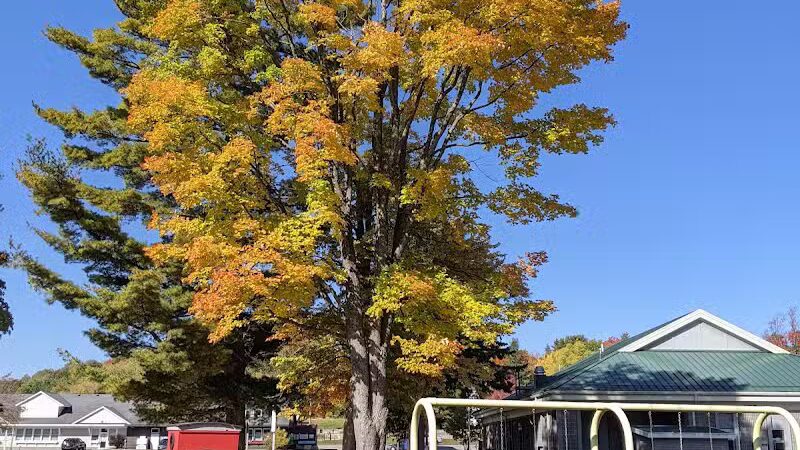 Alanson Village Park - Alanson,