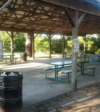 Alanson Village Park Playground - Alanson,