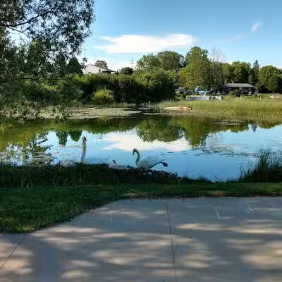 Sanctuary Park - Alanson,