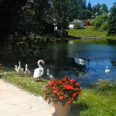 Sanctuary Park - Alanson,