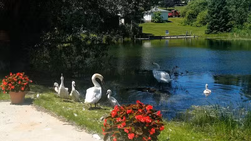 Sanctuary Park - Alanson,