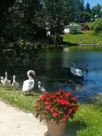 Sanctuary Park - Alanson,