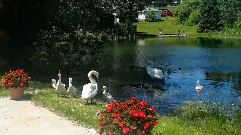 Sanctuary Park - Alanson,