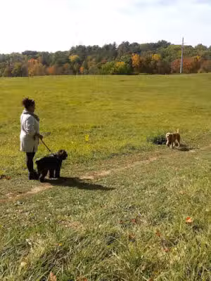 Normanskill Farm Dog Park - Albany, NY