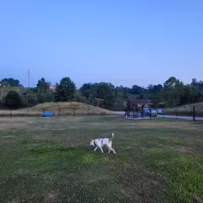 Normanskill Farm Dog Park - Albany, NY