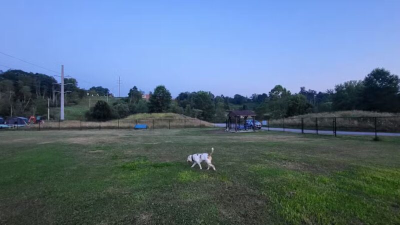 Normanskill Farm Dog Park - Albany, NY
