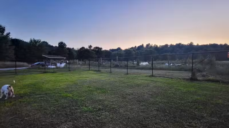 Normanskill Farm Dog Park - Albany, NY