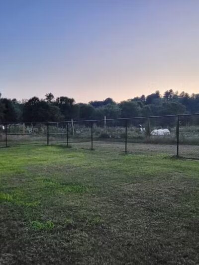 Normanskill Farm Dog Park - Albany, NY