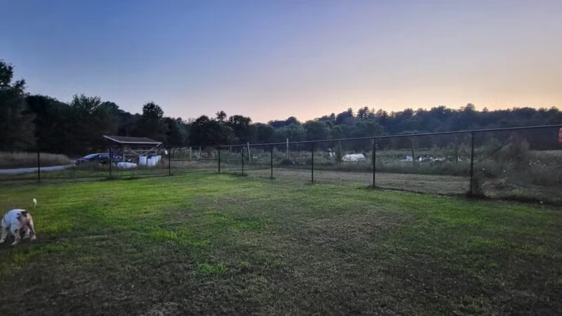 Normanskill Farm Dog Park - Albany, NY