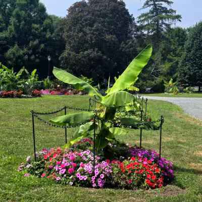 Washington Park - Albany, NY
