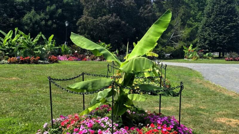 Washington Park - Albany, NY