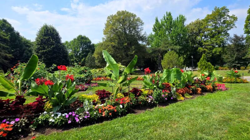 Washington Park - Albany, NY