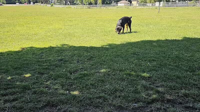 Albion Dog Park - Albion, MI