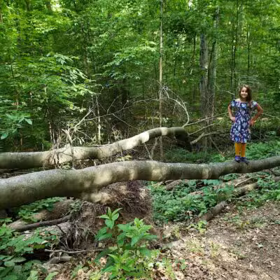 Coy Mountain Natural Area - Alden,