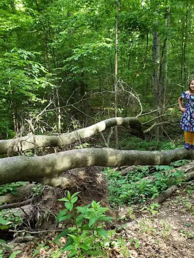 Coy Mountain Natural Area - Alden,