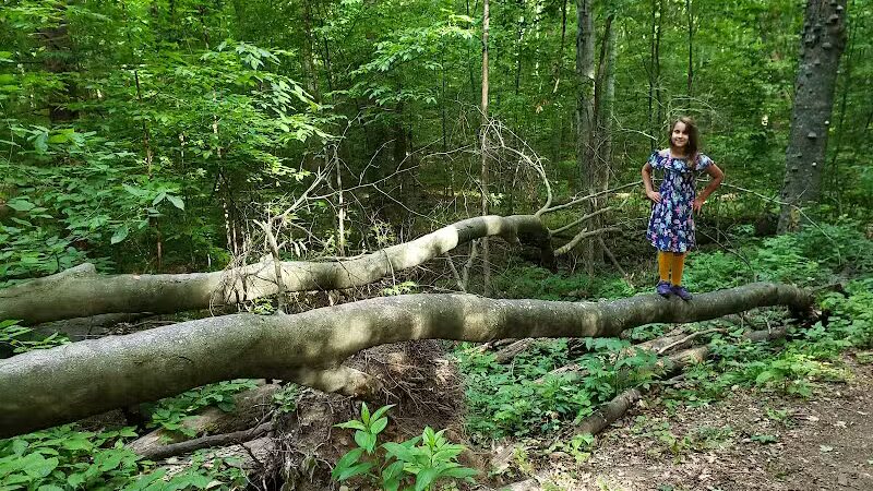 Coy Mountain Natural Area - Alden,