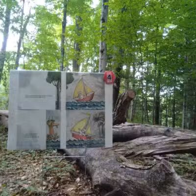 Coy Mountain Natural Area - Alden,