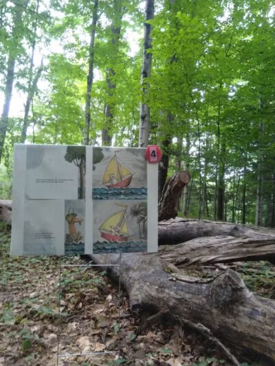 Coy Mountain Natural Area - Alden,