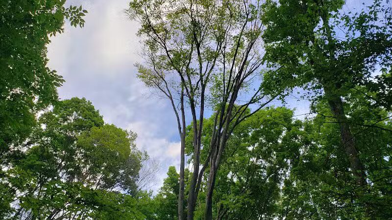 Coy Mountain Natural Area - Alden,