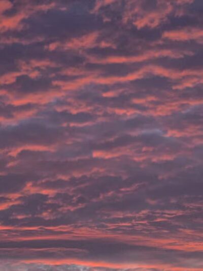 Hal and Berni Hanson Regional Park - Aldie, VA