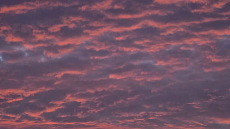 Hal and Berni Hanson Regional Park - Aldie, VA
