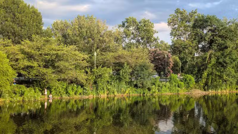 Ben Brenman Park - Alexandria, VA