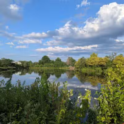 Ben Brenman Park - Alexandria, VA