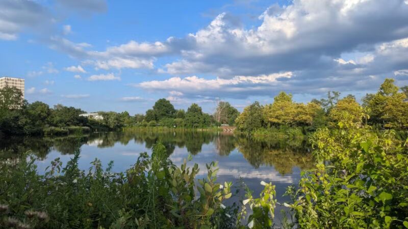 Ben Brenman Park - Alexandria, VA