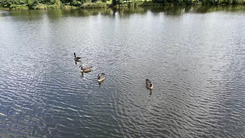 Ben Brenman Park - Alexandria, VA