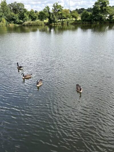 Ben Brenman Park - Alexandria, VA