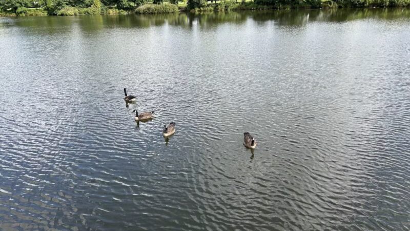 Ben Brenman Park - Alexandria, VA