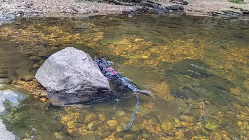 Dora Kelley Nature Park - Alexandria, VA