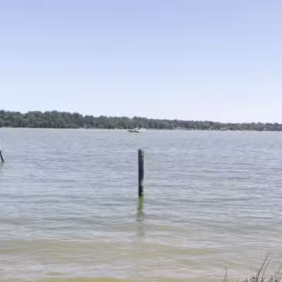 Dyke Marsh Wildlife Preserve - Alexandria, VA