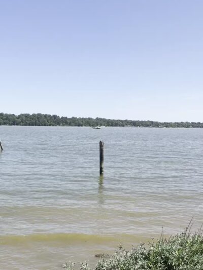 Dyke Marsh Wildlife Preserve - Alexandria, VA
