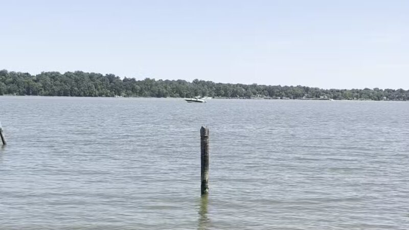 Dyke Marsh Wildlife Preserve - Alexandria, VA