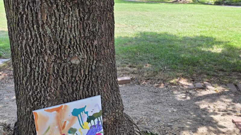 Founders Park - Alexandria, VA