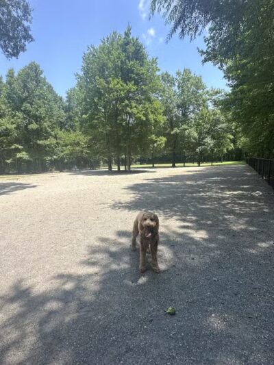 Grist Mill Dog Park - Alexandria, VA