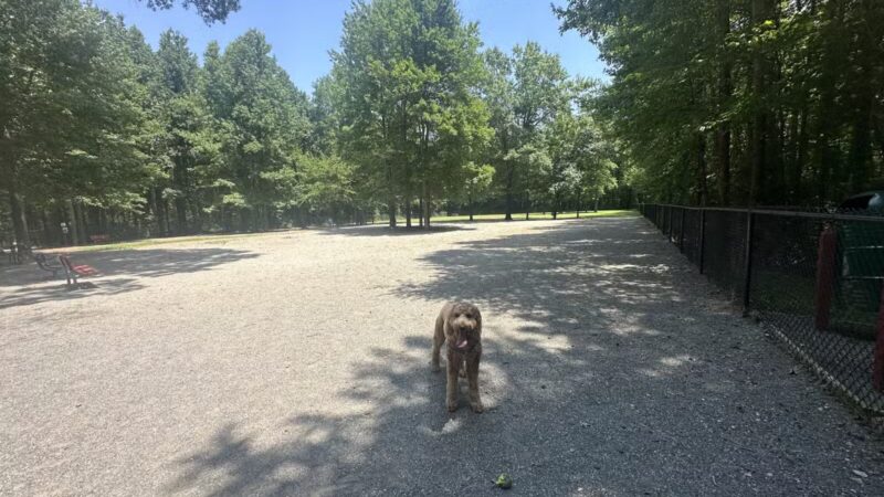 Grist Mill Dog Park - Alexandria, VA