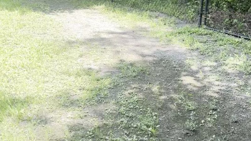 Grist Mill Dog Park - Alexandria, VA