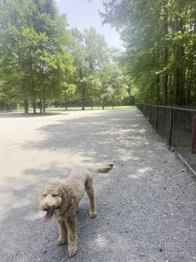Grist Mill Dog Park - Alexandria, VA
