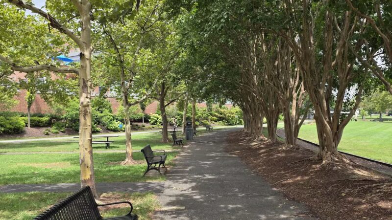 Oronoco Bay Park - Alexandria, VA