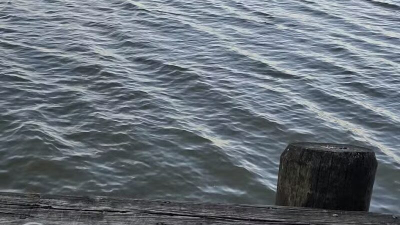 Tide Lock Park - Alexandria, VA