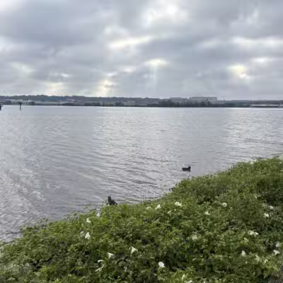 Tide Lock Park - Alexandria, VA