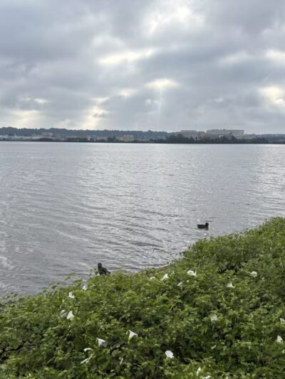 Tide Lock Park - Alexandria, VA
