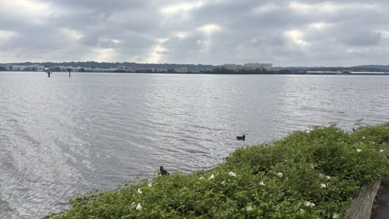Tide Lock Park - Alexandria, VA