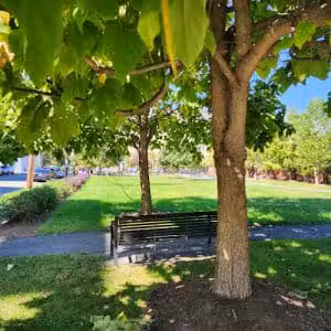 Judy Guse-Noritake Park - Alexandria, VA