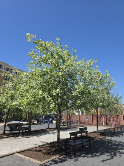 Judy Guse-Noritake Park - Alexandria, VA