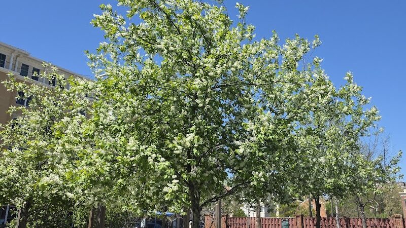 Judy Guse-Noritake Park - Alexandria, VA