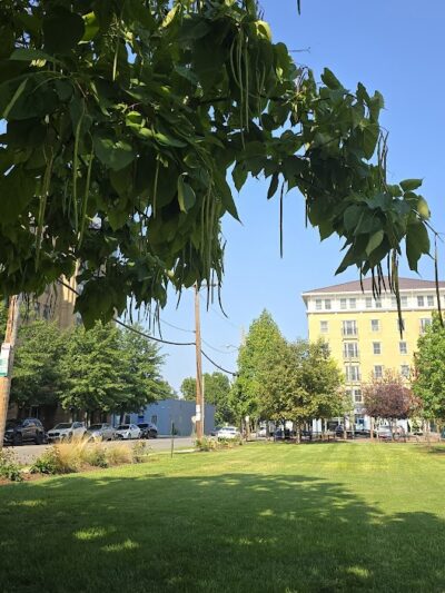 Judy Guse-Noritake Park - Alexandria, VA